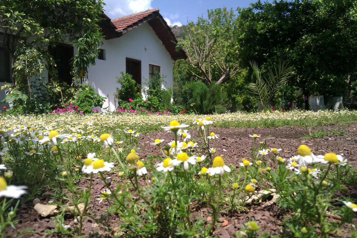 Engin Pension vip transfer