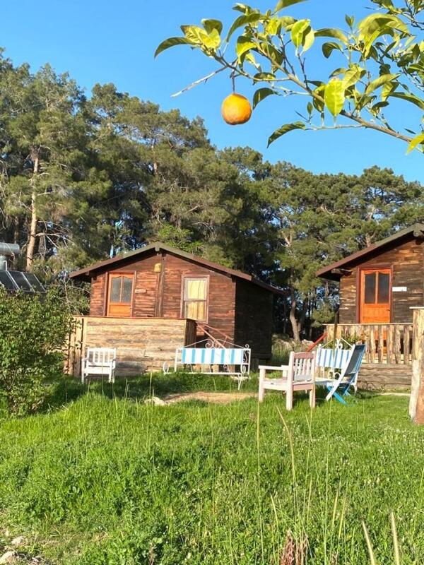 Havasu Park Bungalows vip transfer