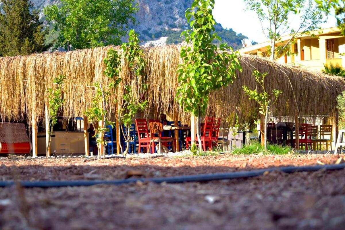 Kaktüs Häuser Überweisen