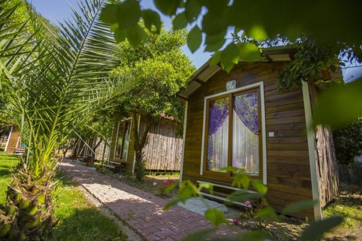 Likya Häuser Olympos Überweisen