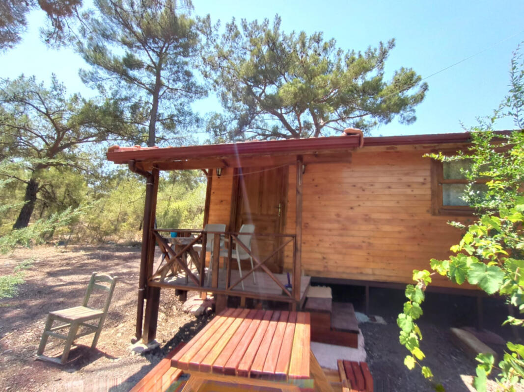 Olimpos Ispinoz Apart Überweisen