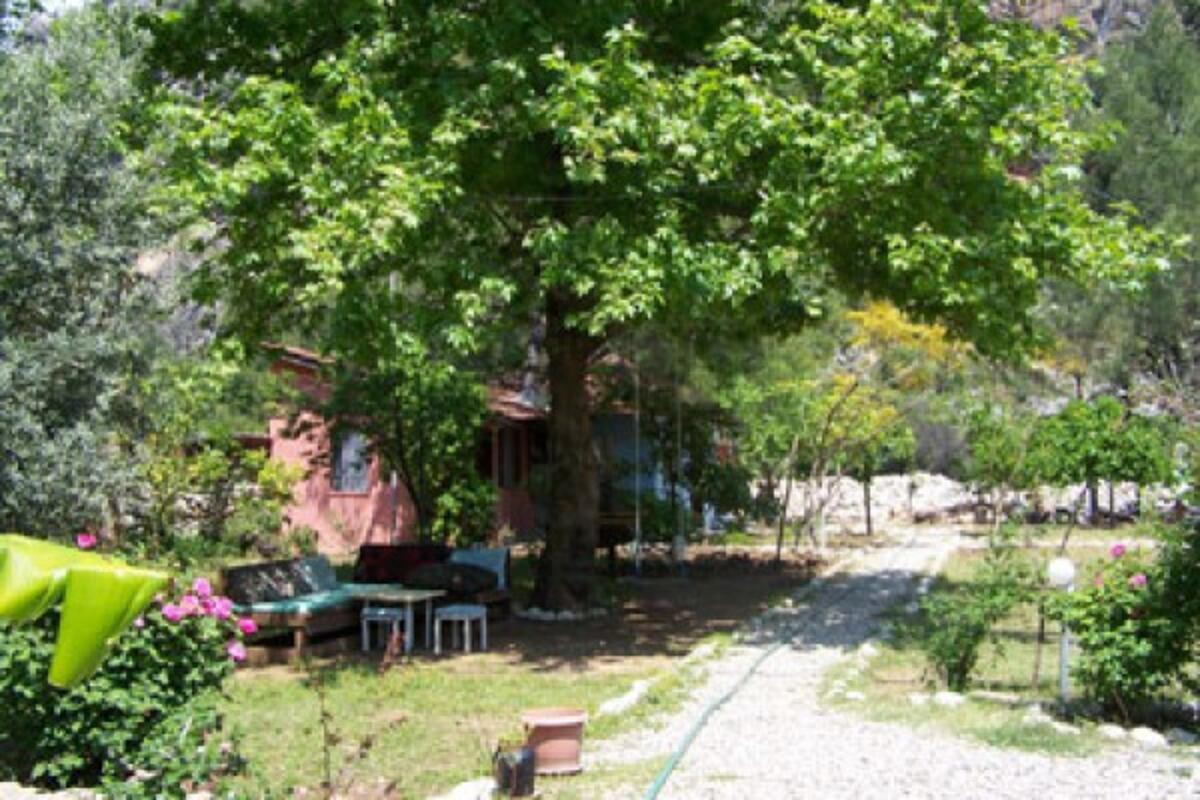 Sirenes Pension vip transfer