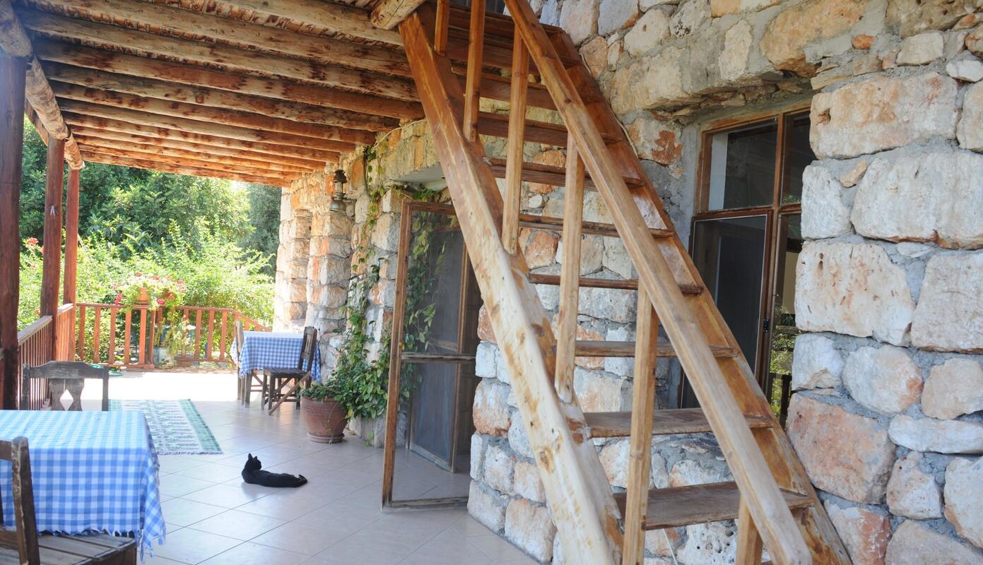 Telemenin Evi Überweisen