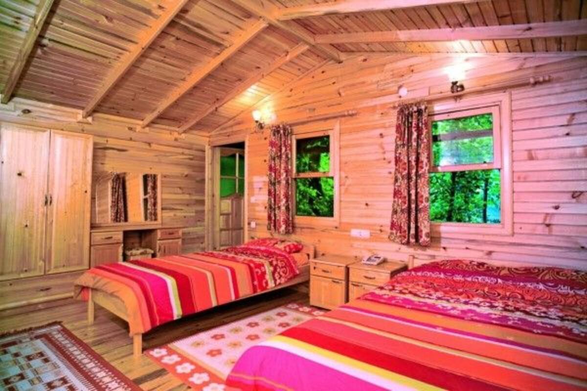 Tropik Agac Häuser vip transfer